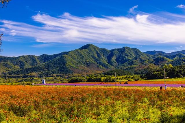 退休后，为什么要去旅行？这是我见过最好的答案