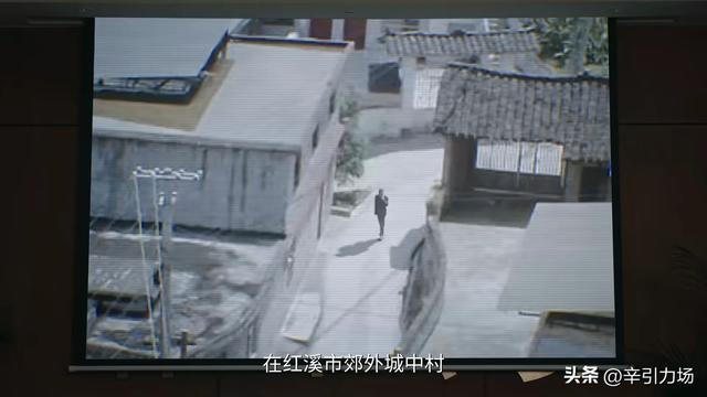 《利剑玫瑰》郑薇薇怀上卢笙孩子，邓妍和常锐算计太狠，找到内鬼
