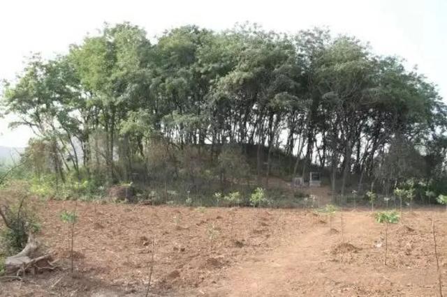 地名里的峄城:娘娘坟村