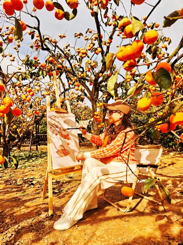 桂林：不入柿园，怎知秋色几许！