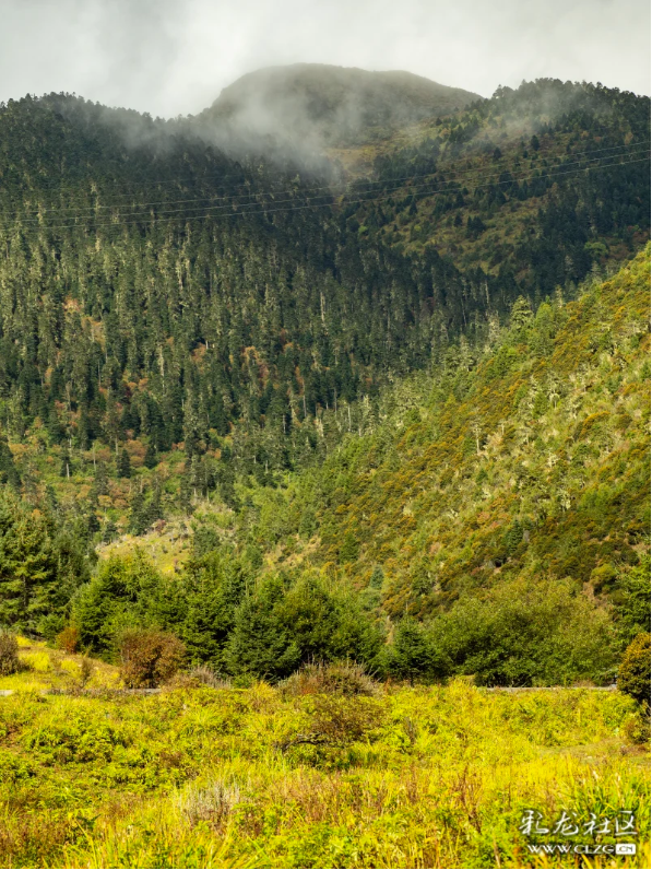 秋天的影像诗 普达措国家森林公园的秋天静谧安详，如诗如画