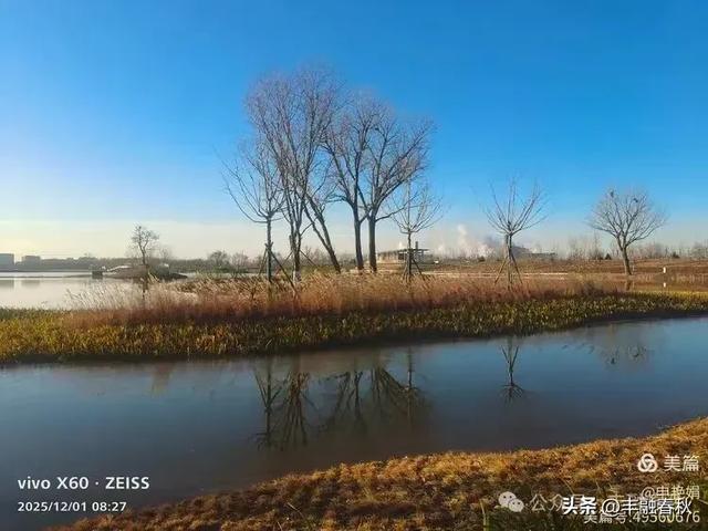 初冬北京朝阳坝河金盏淀：清寒里的静美画卷｜申艳娟