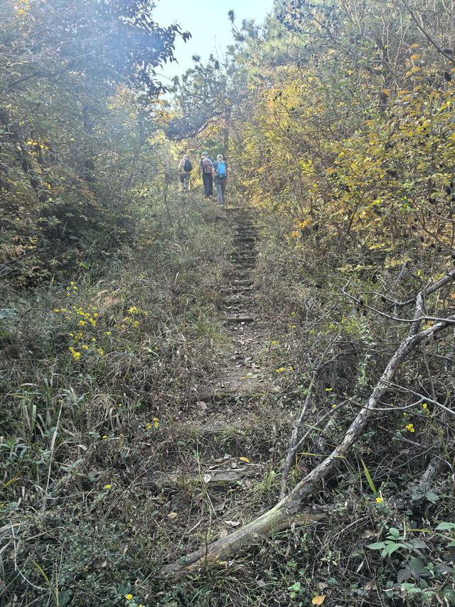 南京龙尚湖，大连山，佘村一日郊野徒步