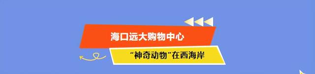 美食、购物、免税……海口商圈暑期消费狂欢季来了