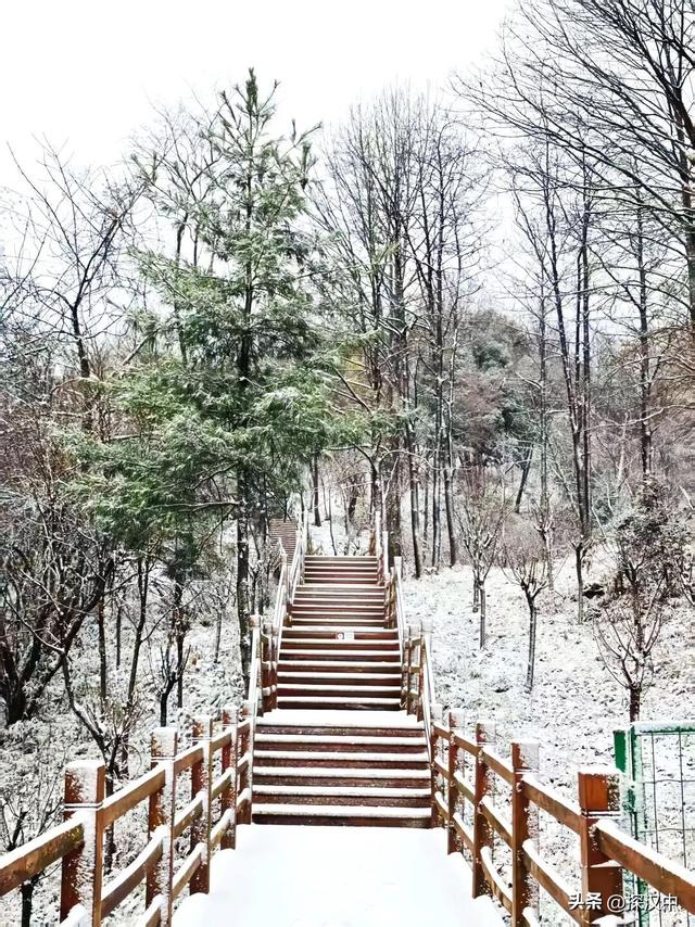 2025年草川子第一场初雪来啦！