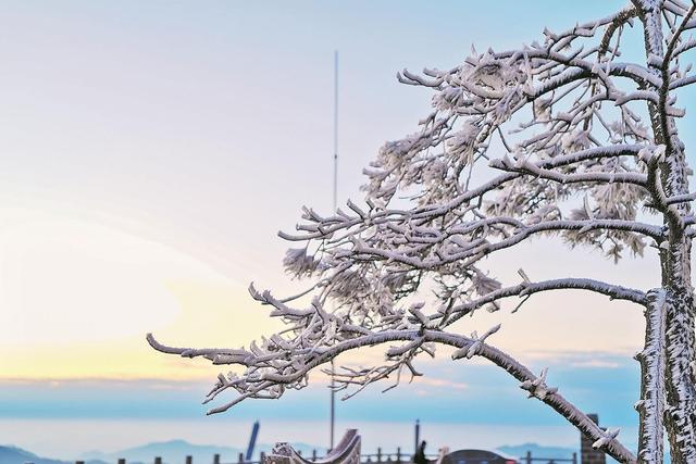 泉州德化：一夜雾凇起，漫山琉璃境