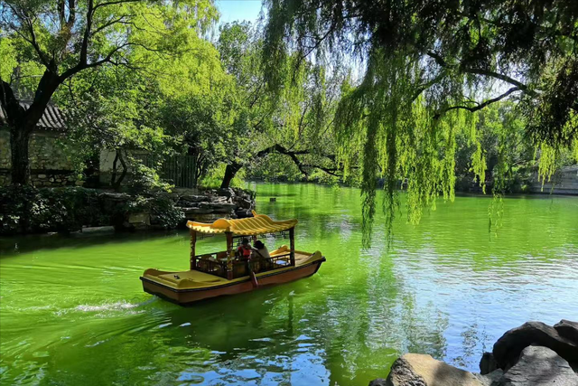 情感爆文:人这辈子，最不甘心的事情	，其实就五个字，你知道？