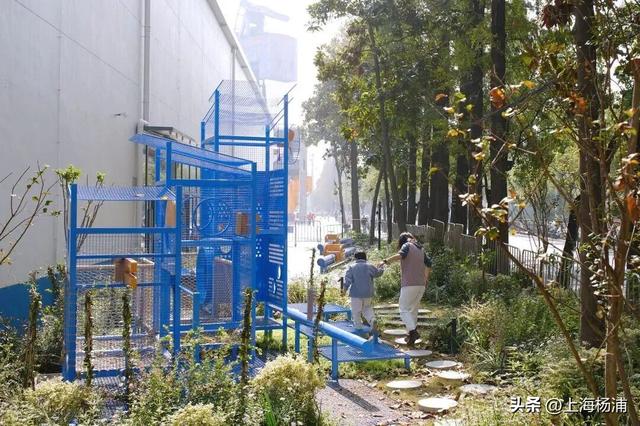 强推！这三条Citywalk路线带你畅游复兴岛和杨浦滨江