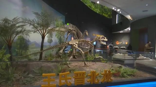 等你来打卡！河北两大新晋博物馆相继试运行