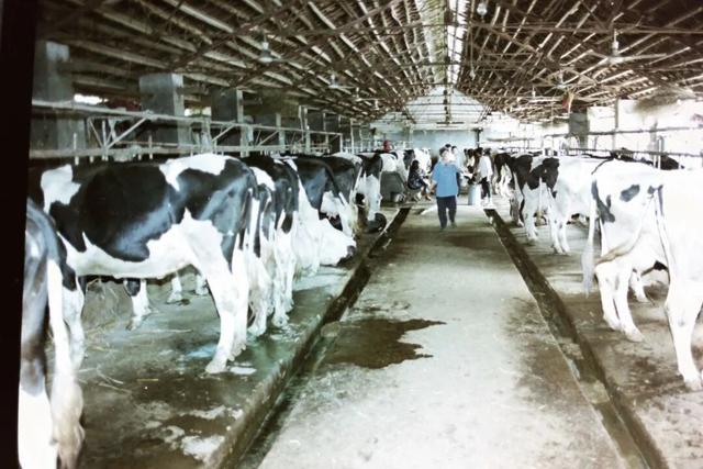 【美丽四川】一湖碧水，半城烟火！玄珠湖的时光故事，就从那个秋夜讲起……|| 雷媛