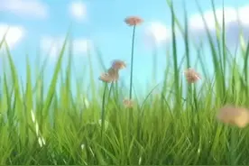 血压偏高怎么降？两味药用得好：穿破石加丹参，血脉一通血压自降图片