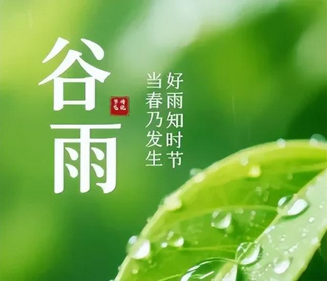 枣庄市文化馆2025年度精彩时刻（四）以文塑旅促融合 荣誉见证显担当