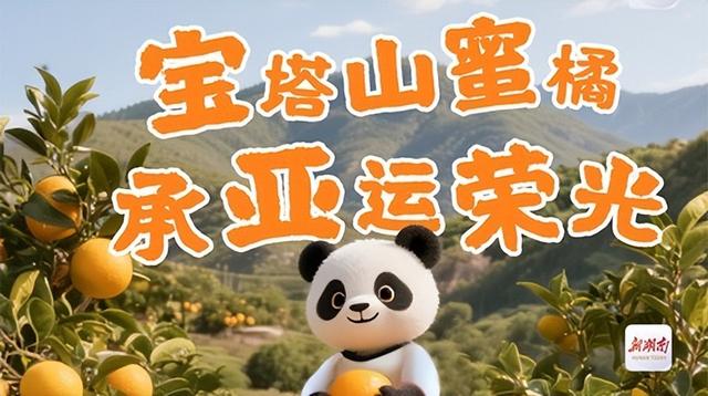 品亚运柑橘，赏千岛湖景！10月26日一起到安化宝塔山组个“橘”