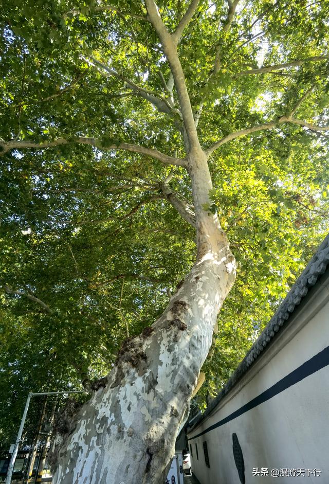 镇江西津渡的看点不在古街，而是云台山上