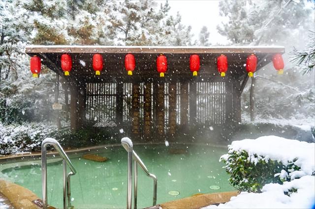 威海荣成“那香海第二届天鹅童话节”来了！ 邀您闯入有雪有海有天鹅的冬日胜境~