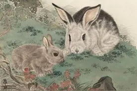 一月兔守金房，二月三月兔靠银墙，还有哪几个月出生的兔最好命？图片