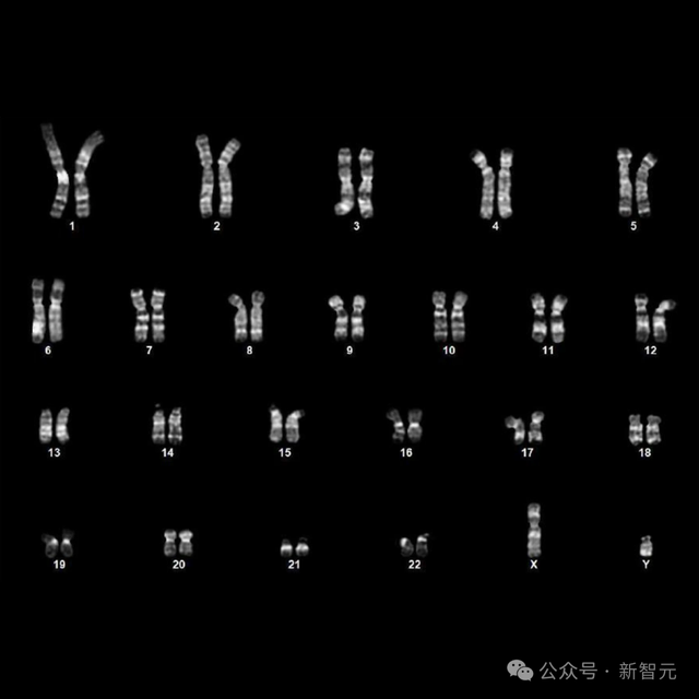 OpenAI用GPT-4b攻克诺奖难题！人体细胞返老还童逆转效率飙升50倍