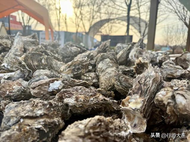 “蛎”享冬日，梭鱼湾冬日鲜味狂欢季启幕！