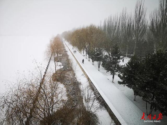 雪落平城!一场“认真的初雪”,给大同裹上冬日白纱~