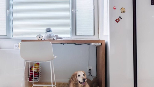 38平米的小家，客厅餐厅衣帽间卧室一个不少，一人一汪住超舒服