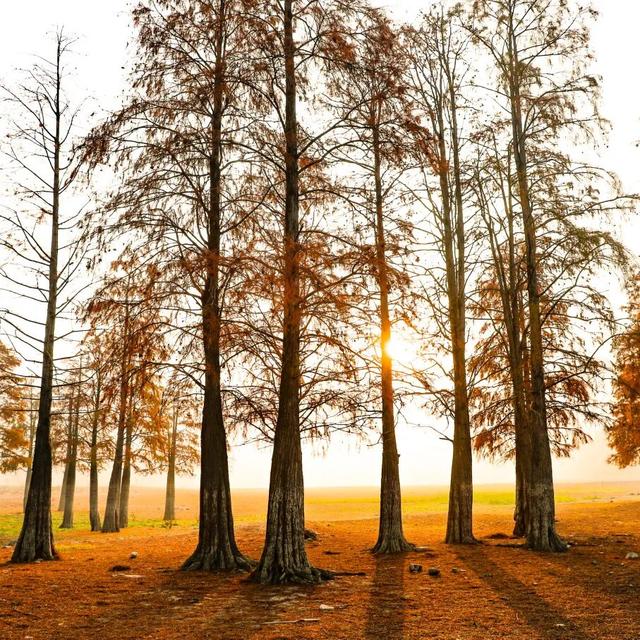 一眼心动的黟县：从天空之镜到落日霞光的全景漫游