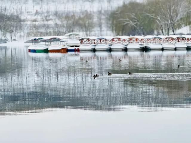 收好这份石家庄“雪景打卡地图”！走起→