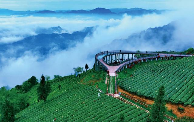 雅茶三款产品荣获2025中国特色旅游商品大赛银奖