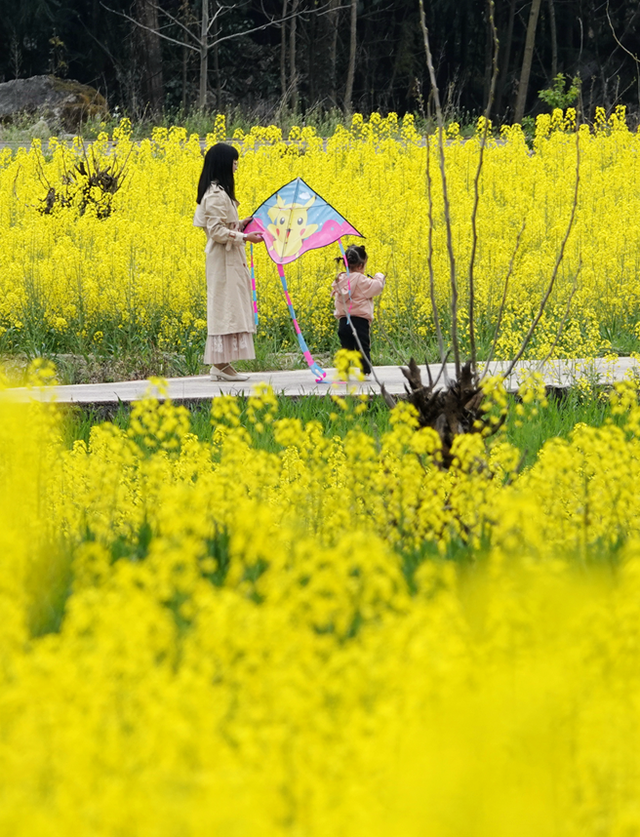 青睐绵阳 || 这个春天，来平武赴一场Color Walk