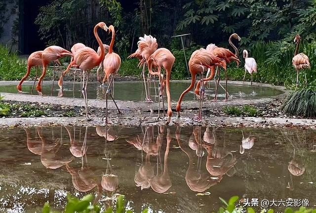 春光明媚 跟着摄影师镜头畅游美丽中国