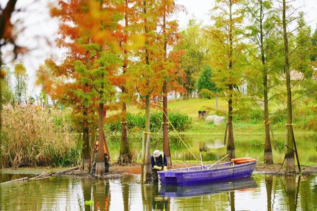 冬崃｜在泉水湖湿地公园，收藏整个冬天的浪漫与生机~