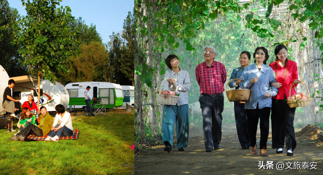 洛阳宝宝冲！四条线路解锁“一山一圣”的新玩法，朋友圈从洛阳卷到山东！