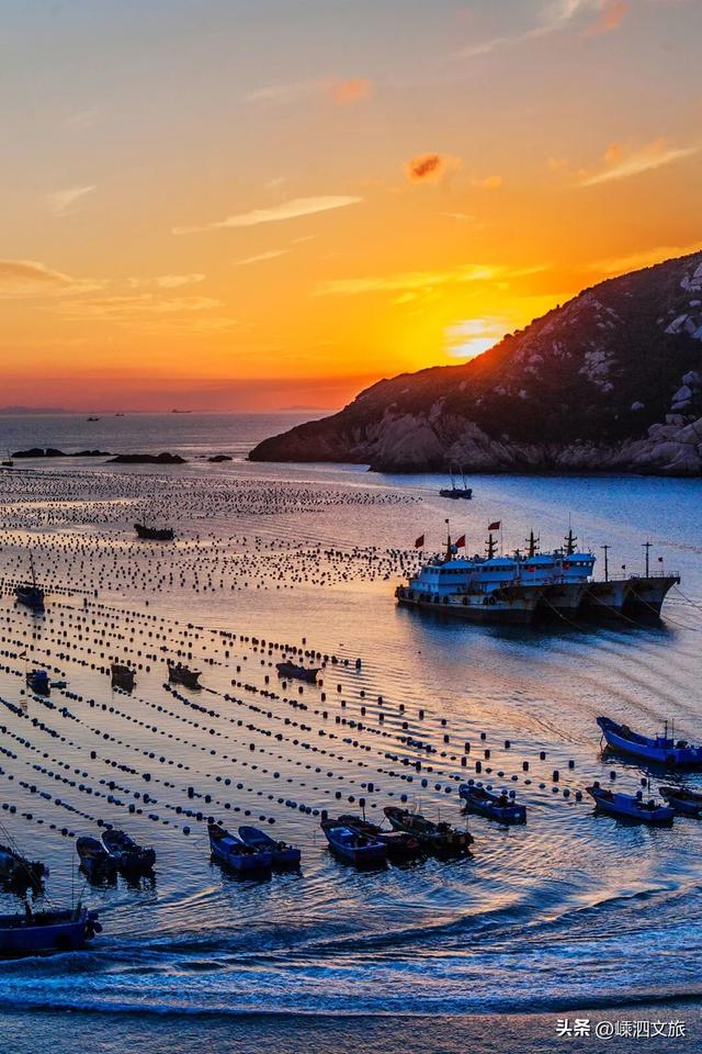 等一个晴天！枸杞岛温暖冬日的惊喜太多啦！