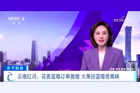 红河州又上央视！因为这颗“蓝宝石”→图片