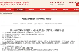 周谷堆9800万、桃花950万...合肥6大片区拆迁进展来了图片