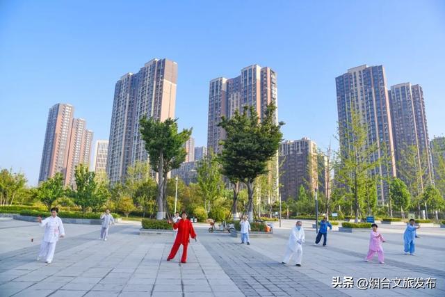 【乐游烟台】邂逅柳林河公园 开启生态宜居的森系时光