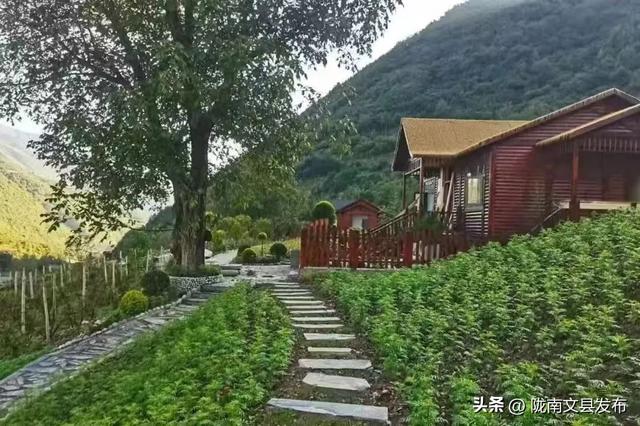 炎炎夏季 来文县铁楼藏族乡享清凉时光