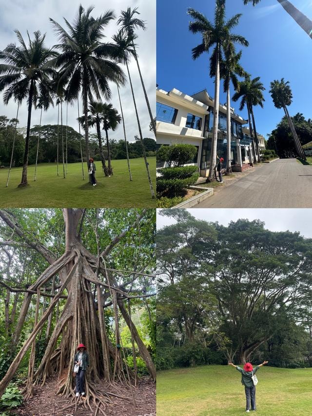 畅游植物王国 体验傣族风情