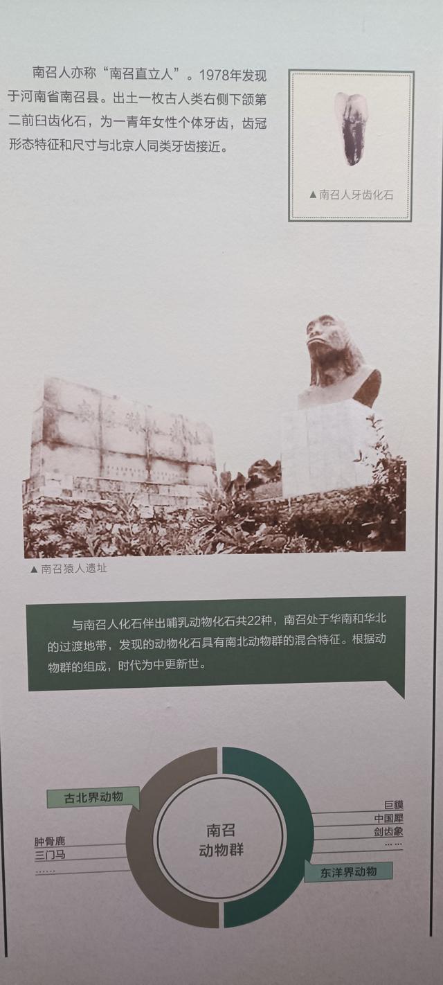 那么近，那么美，周末到商洛了——大美商洛秦岭博物馆