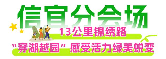 12月20日，欢乐开走！茂名徒步5条线路，你中意哪条？