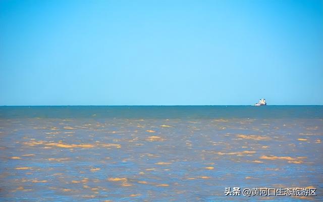 【黄河口生态旅游区】秋日出游全攻略 赏“大自然的调色盘”