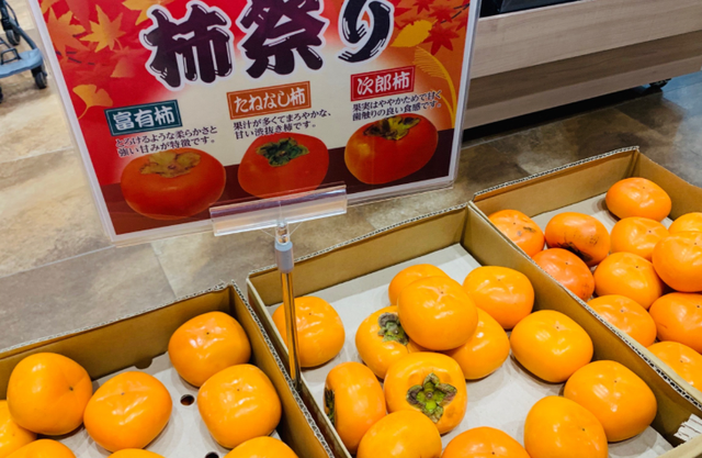 中日差距有多大？看5000元人民币，在日本能游玩多久就知道了