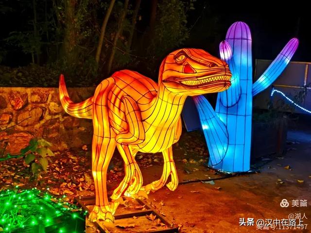 当光影遇上森林，汉中的夏夜如此动人清凉！