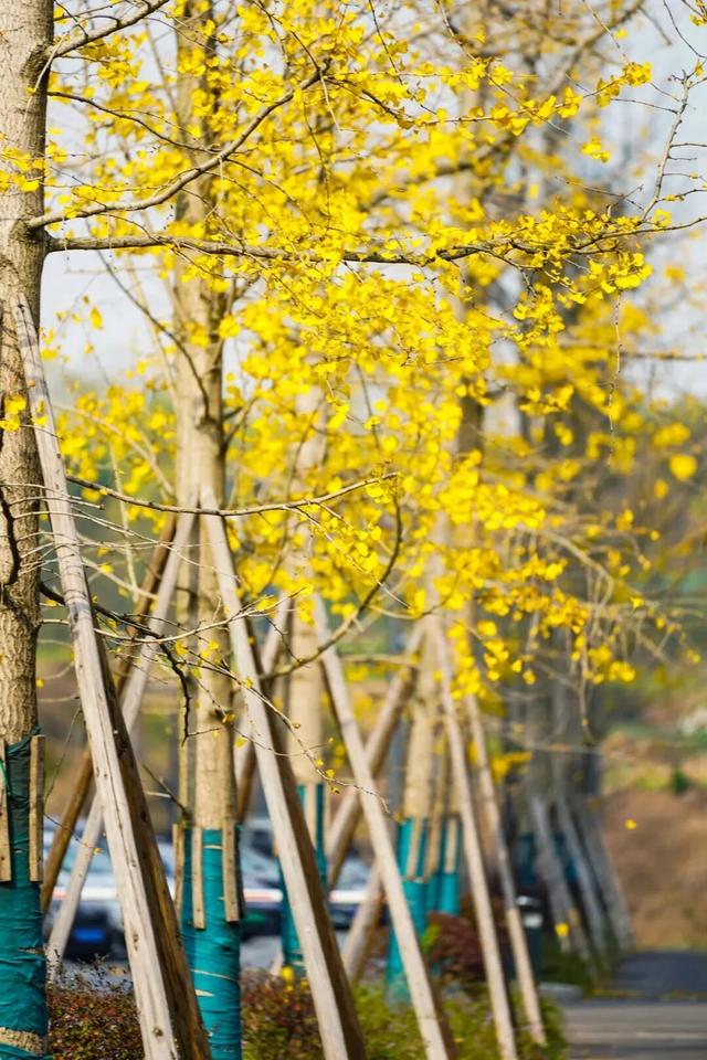 99%的新区人都在做的事，你做了没?