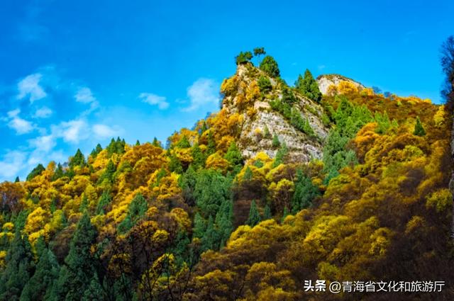 双节假期寻秋记：互助北龙山——藏在互助的“调色盘”，每一步都是诗意
