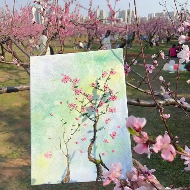 悦遵义·赴春约|三渡镇赏花游活动来啦!!!