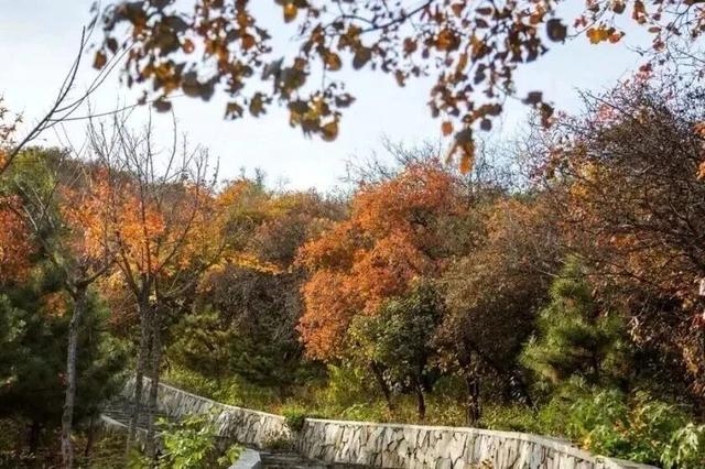 赏秋登高正当时！丰台这些好去处——