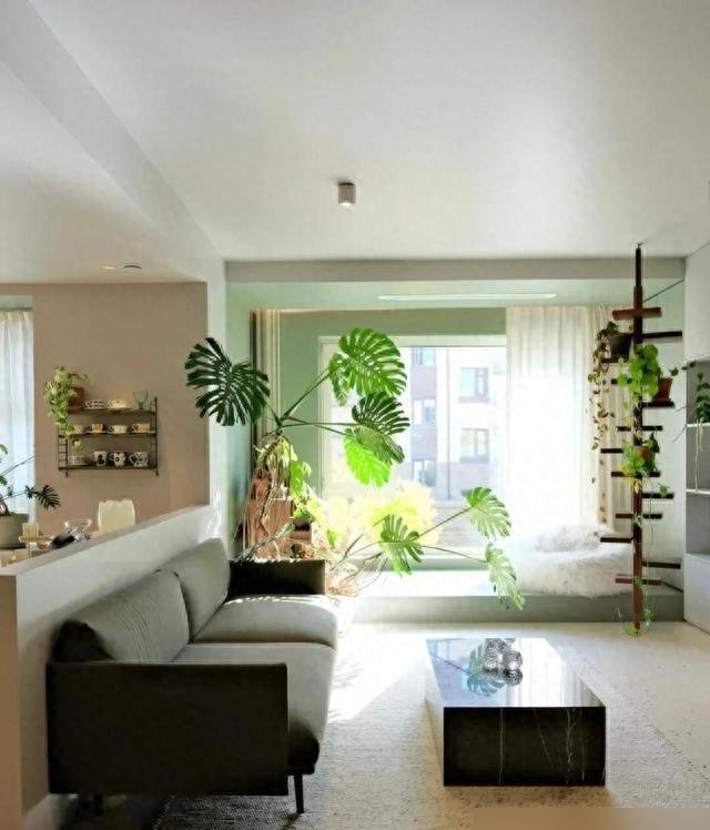 河北一29岁太太,因“鸭脚木客厅”走红,那叫一个高级,真治愈！