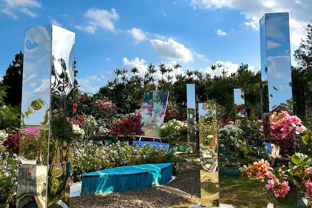 深度赏析海南三角梅赏花周6个最美花园 | 动态