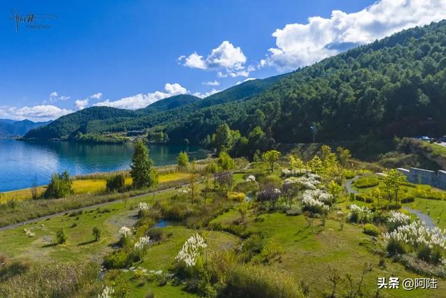 惊艳!曾经只有三户人家的小村子,悄然蜕变成泸沽湖畔的莫奈花园
