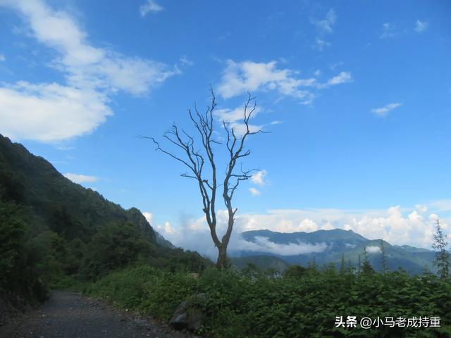 绵阳千佛山爬山笔记